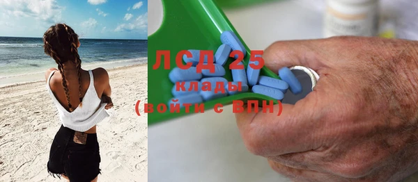 прущие грибы Белоозёрский