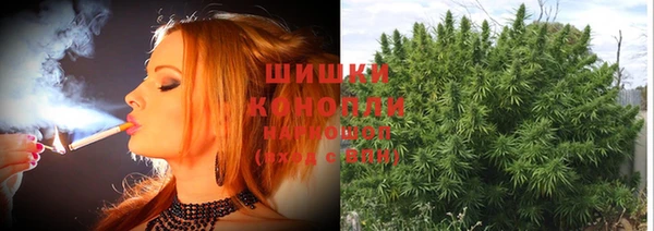 прущие грибы Белоозёрский