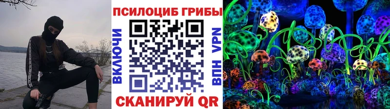 Галлюциногенные грибы Psilocybine cubensis  как найти наркотики  Белинский 